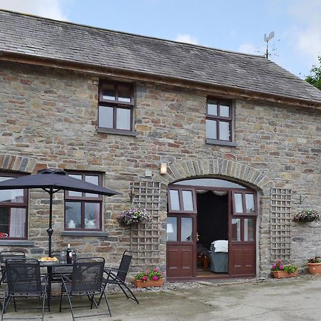 Ty Coch Cottage Dihewid Exteriér fotografie